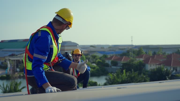 Best Roof Moss and Algae Removal  in Covington, LA